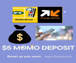 Mobile Money $5